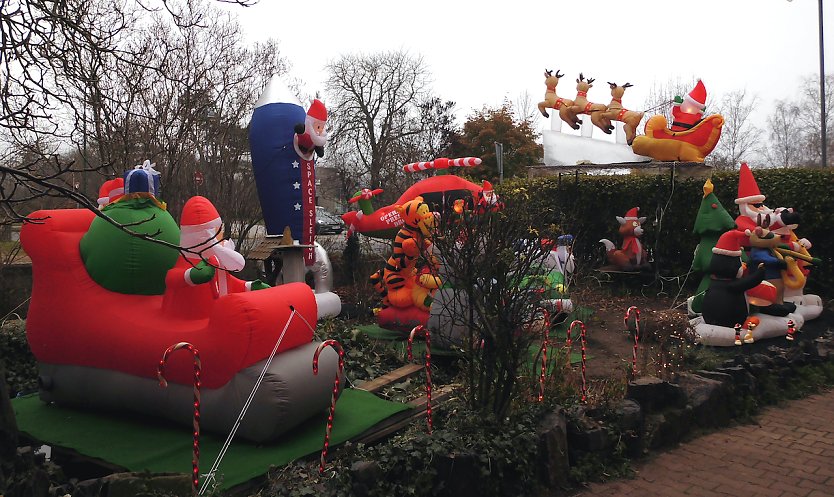 Weihnachtsstimmung im Garten  (Foto: privat)