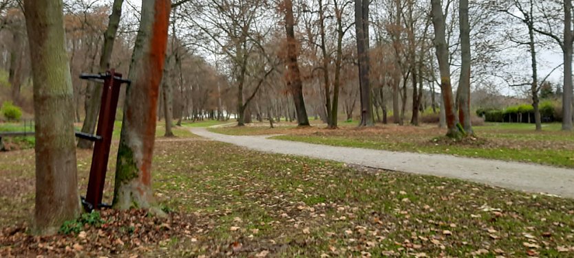 Chaoten im Schlosspark Sondershausen unterwegs (Foto: privat)