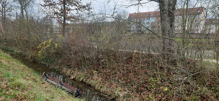 Chaoten im Schlosspark Sondershausen unterwegs (Foto: privat)