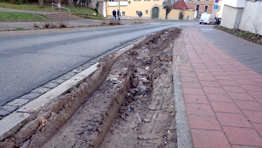 Zerfurchte Randstreifen am Hagen (Foto: A.Adlerauge)