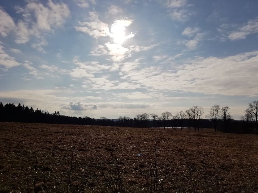 Blauer Himmel und Sonnenschein bei Sophienhof (Foto: W. Jörgens)