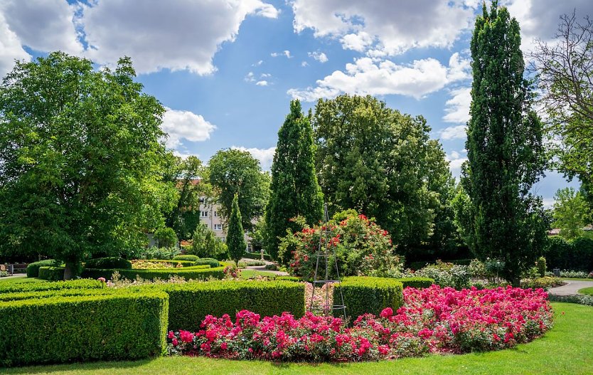  Der Rosengarten in voller Pracht (Foto:  © Bildarchiv BUGA Erfurt 2021 gGmbH)