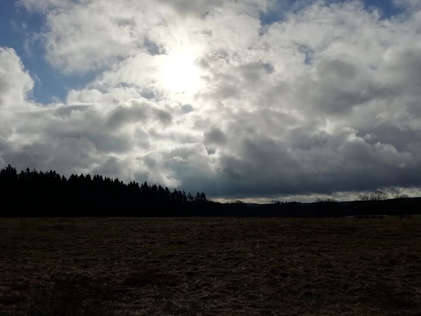 In Sophienhof schien am morgen noch die Sonne (Foto: W. Jörgens)