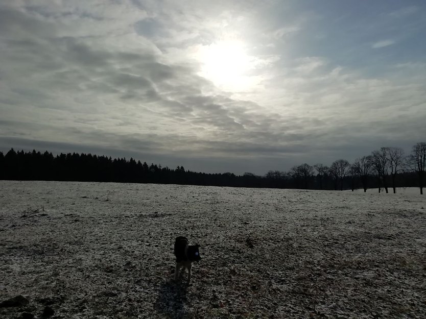 So schön war es heute in Sophienhof (Foto: W. Jörgens)