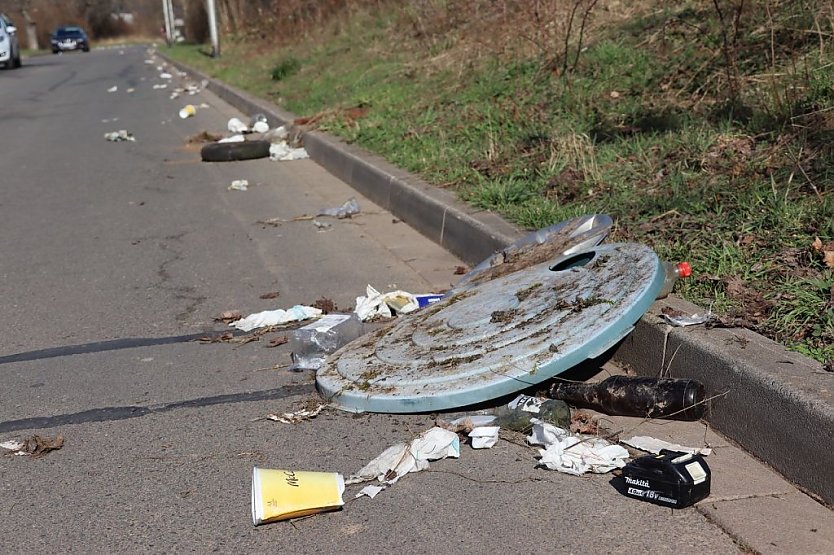 Illegal entsorgt wird nahezu alles (Foto: Stadtverwaltung Nordhausen)