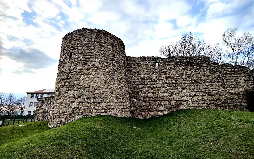 Auf dem Petersberg (Foto: P.Blei)