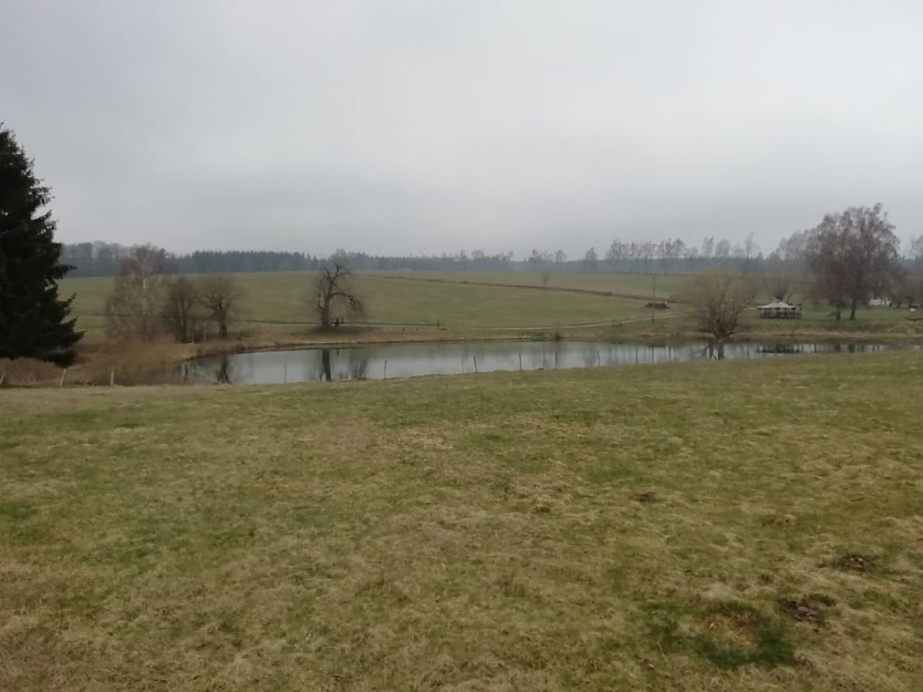 Trübes Aprilwetter bei Sophienhof (Foto: W. Jörgens)