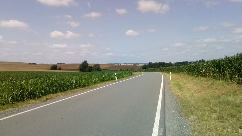Wie anderswo auch: Flankiert von Maisfeldern wird die Straße zwischen Haferungen und Schwarze Brücke bei Pützlingen. Nicht das kleinste Feldkräutlein oder Blümchen findet sich in den gemähten Straßengräben. (Foto: knk)