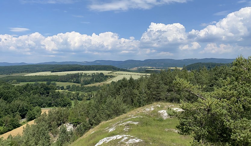 Blick von den Hörninger Klippen (Foto: oas)
