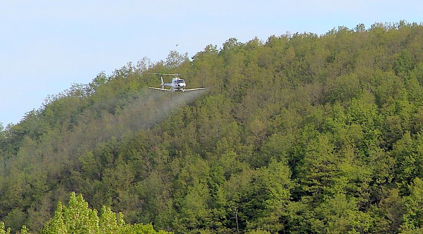 Schädlingsbekämpfung aus der Luft (Foto: Thüringen Forst)