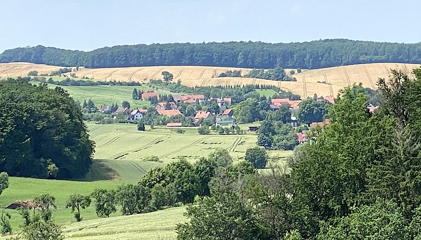 Bei H&ouml;rningen (Foto: oas)