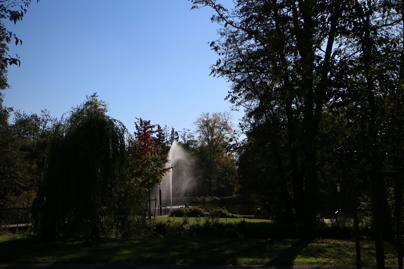 Wetterbild (Foto: agl) Wetterbild (Foto: agl)