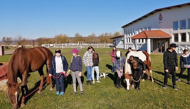 Ferienspiele auf der Farm der Familie Forst in Herreden (Foto: KSB)