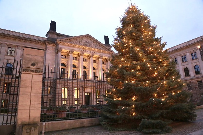 Der 12 Meter hohe Weihnachtsbaum vor dem Berliner Bundesratsgebäude stammt aus Kahla (Thüringer Forstamt Jena-Holzland). Traditionell liefert das ratsvorsitzende Bundesland den Schmuckbaum, 2021/22 ist dies Thüringen (Foto: Bundesrat Frank Bräuer)