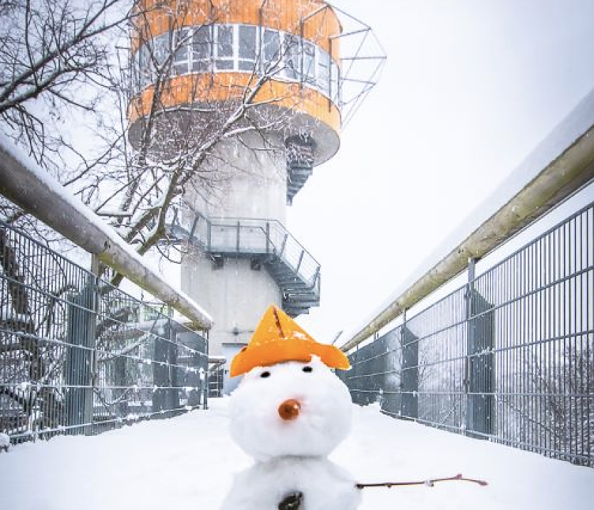 Am Baumkronenpfad im Nationalpark Hainich stellt man auf den Winterfahrplan um (Foto: Kur- und Rosenstadt Bad Langensalza)