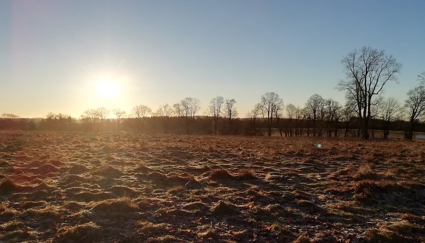 Nachts Frost, tags&uuml;ber Sonne (Foto: W.J&ouml;rgens)
