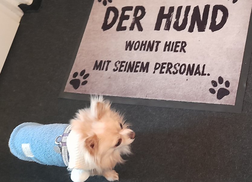 Ein Bild sagt mehr als 1000 Worte (Foto: Simone Klein)