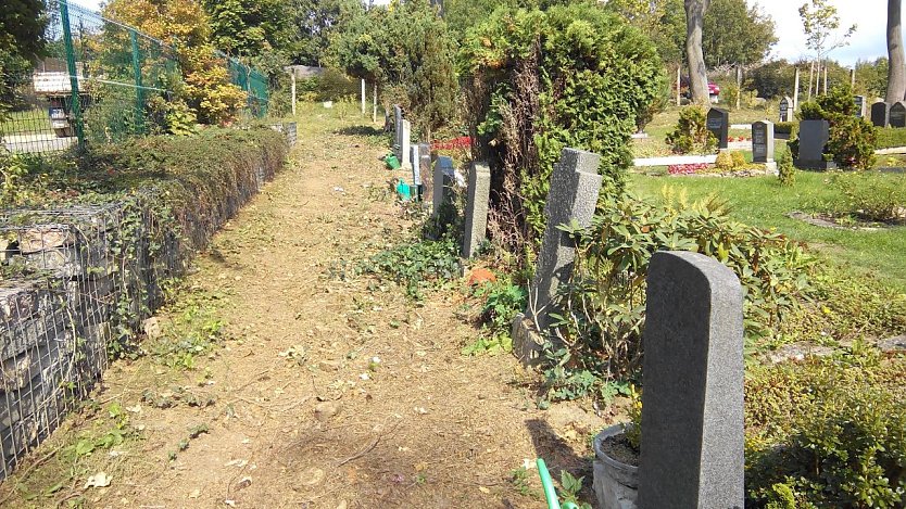 Hier stand einst eine immergr&uuml;ne Hecke mit Lebensb&auml;umen als Abgrenzung zu Gr&auml;bern und Lagerplatz. (Foto: Anton Adlerauge)