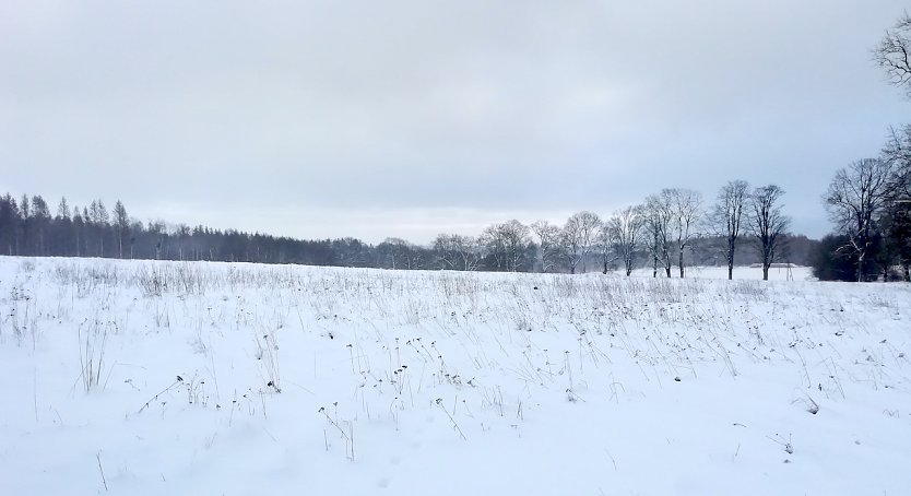 Wetter im Harz weiter winterlich (Foto: W.J&ouml;rgens)