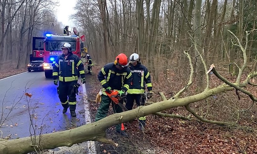 Bild vom Unfallort im März 2020 (Foto: Feuerwehr Bad Langensalza/SD) Bild vom Unfallort im März 2020 (Foto: Feuerwehr Bad Langensalza/SD)