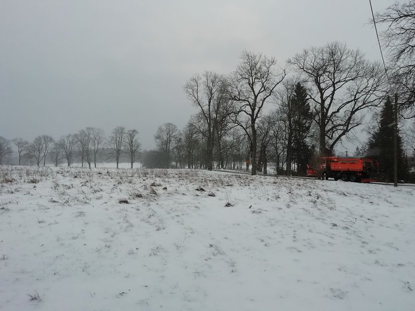 Reichlich Schnee und graue Wolken gab es heute morgen nicht nur in Sophienhof (Foto: W. Jörgens)