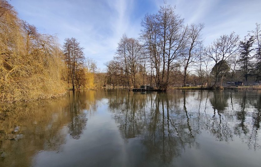 Impressionen aus dem Park (Foto: P.Blei)