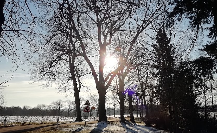 Sonne pur heute im Harz (Foto: W.Jörgens)