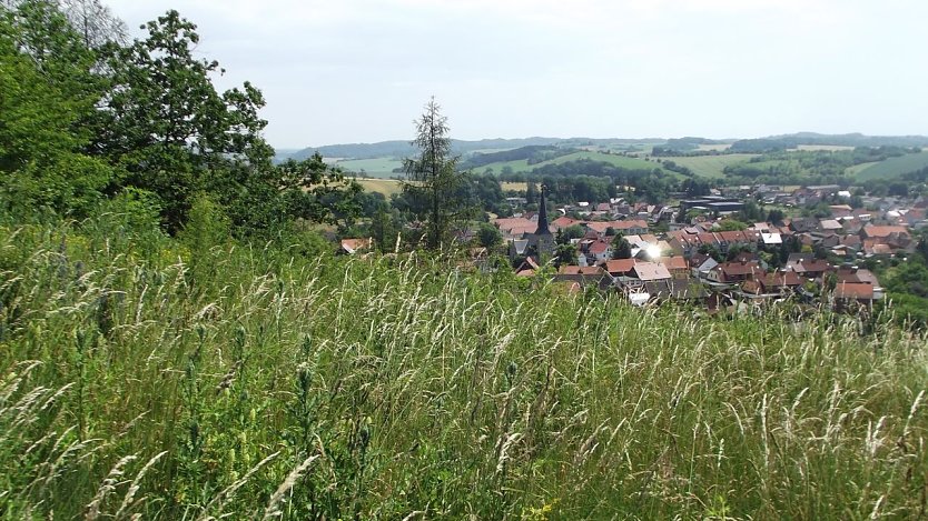 Blick vom Mühlberg  (Foto: Silke Staubitz)