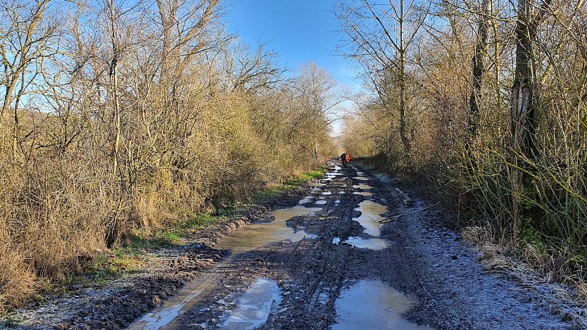 Ein glücklicherweise  nicht asphaltierter Weg zwischen Langenbogen und Köllme (etwa km 90): Schlamm und Pfützen auch außerhalb des Alten Stolbergs waren Markenzeichen des 41. Südharz-Hunderters.   (Foto: B.Schwarzberg)