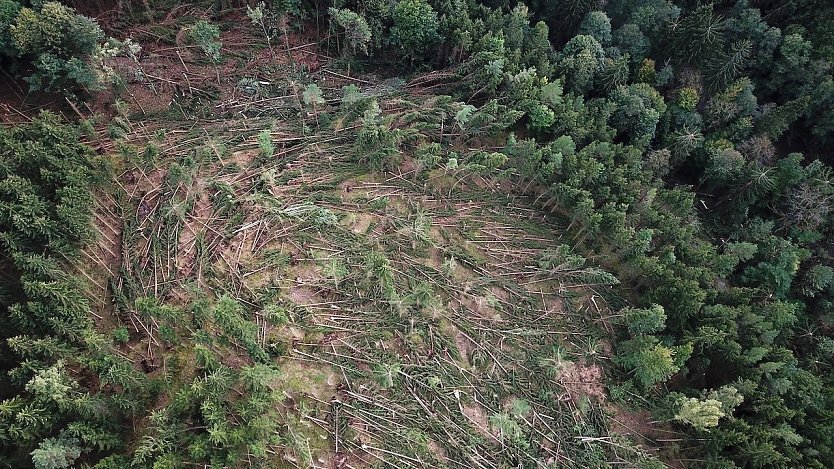 Orkanstürme können im Wald, wie hier im Schwarzatal 2018, sehr lokal, dafür umso zerstörerischer wirken (Foto: Ronald Stein)