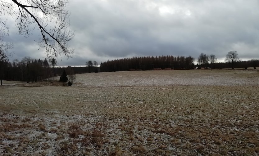 Stürmische Winde bei null Grad heute Morgen im oberen Harz (Foto: W.Jörgens) Stürmische Winde bei null Grad heute Morgen im oberen Harz (Foto: W.Jörgens)