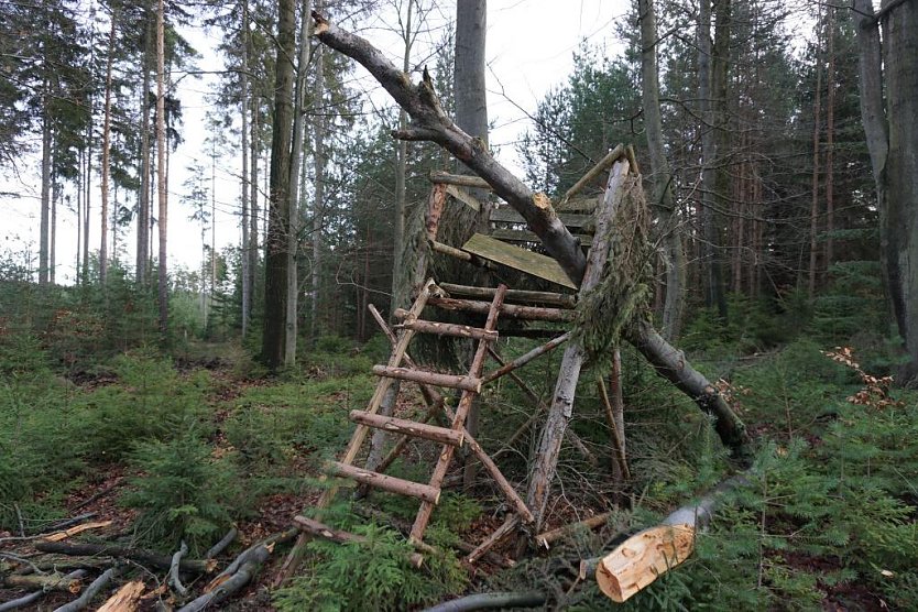 Auch viele jagdliche Einrichtungen sind durch die Stürme zerstört worden (Foto:  Dr. Horst Sproßmann)