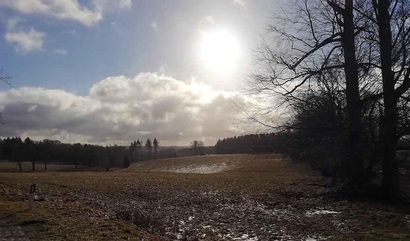 Sonniger und schneefreier Harz heute bei +2 Grad (Foto: W.Jörgens)