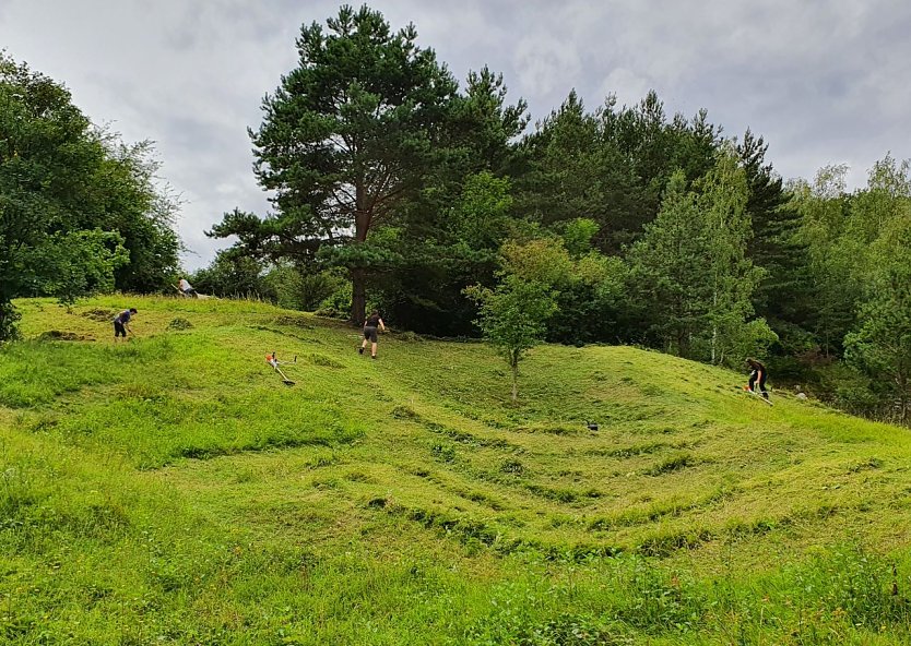 Mitglieder und Freunde des BUND-Kreisverbandes Nordhausen bei der alljährlichen Mahd eines Magerrasens im neuen Naturschutzgebiet Bromberg bei Niedersachswerfen im August 2021 (Foto: Bodo Schwarzberg)