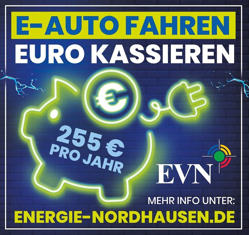 Geld verdienen mit dem E-Auto - die EVN will helfen (Foto: EVN)