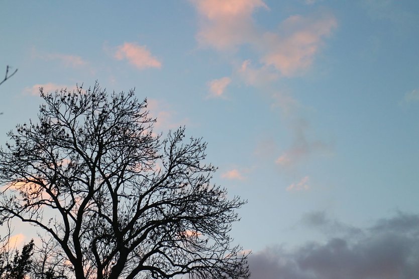 Wetterbild (Foto: agl)