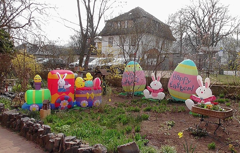 Dem Hasen auf der Spur  (Foto: U.Reinboth )