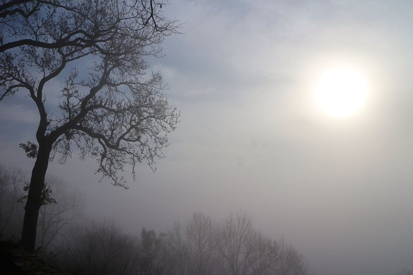 Wetterbild (Foto: agl)