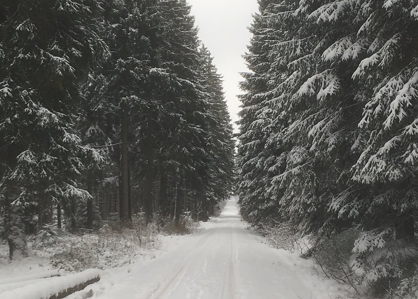 Er ist wieder da: der Winter! (Foto: oas)