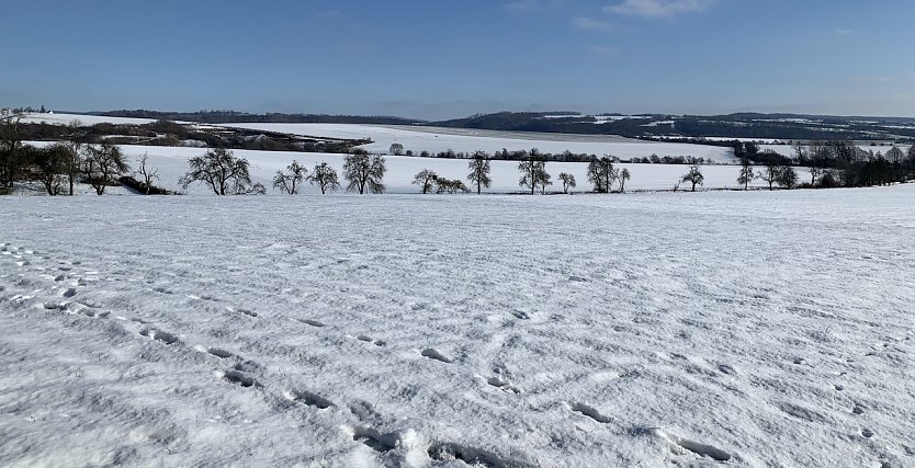 Unerwünschtes Bild Anfang April (Foto: oas)