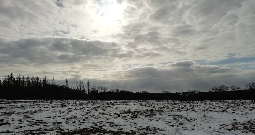 Minus 4 Grad, leichter Wind und die Sonne sucht sich ihren Weg huet in Sophienhof (Foto: W.Jörgens)