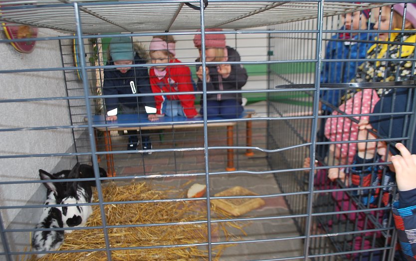 Hasenbesuch in der Kindervilla (Foto: Katrin Milde)