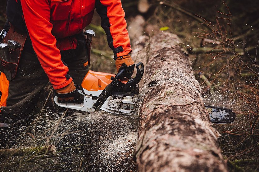 IG BAU Nordthüringen fordert mehr Forstpersonal (Foto: IG Bau)