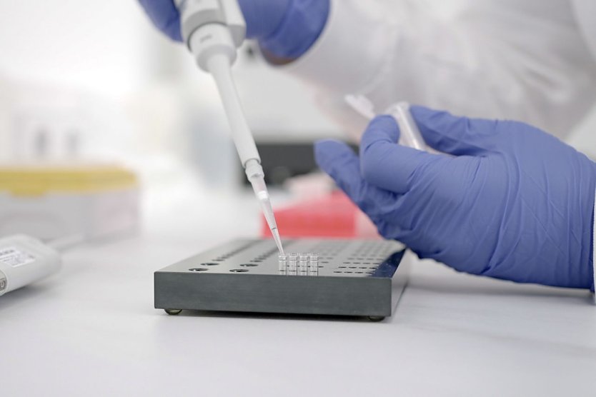 Unter dem Mikroskop fielen weder Federn, Borsten, Haare noch Horn auf (Foto: Stiftung Warentest)