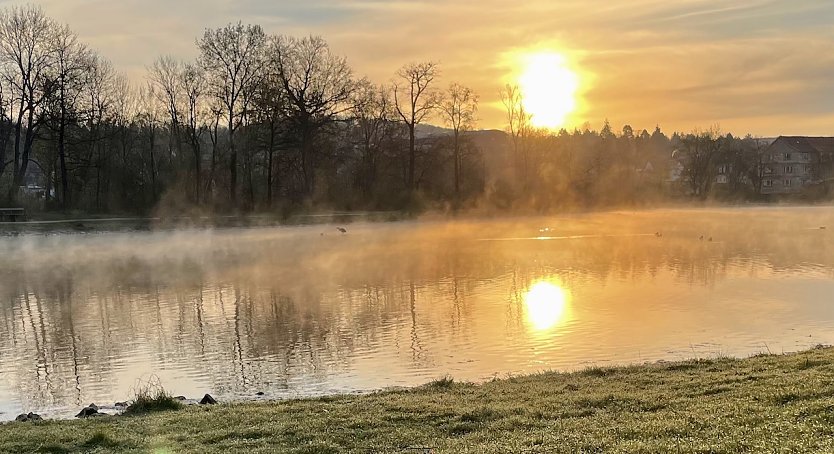Graureiher im Nebel im Schlossgarten Sondershausen (Foto: Ch. Kästner) Graureiher im Nebel im Schlossgarten Sondershausen (Foto: Ch. Kästner)