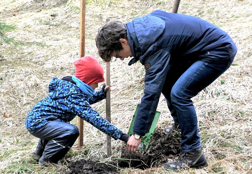 Frühjahrsaufforstung - Helfende Hände gesucht (Foto: Horst Sproßmann)