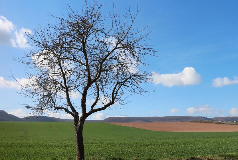 Wetterbild (Foto: agl)