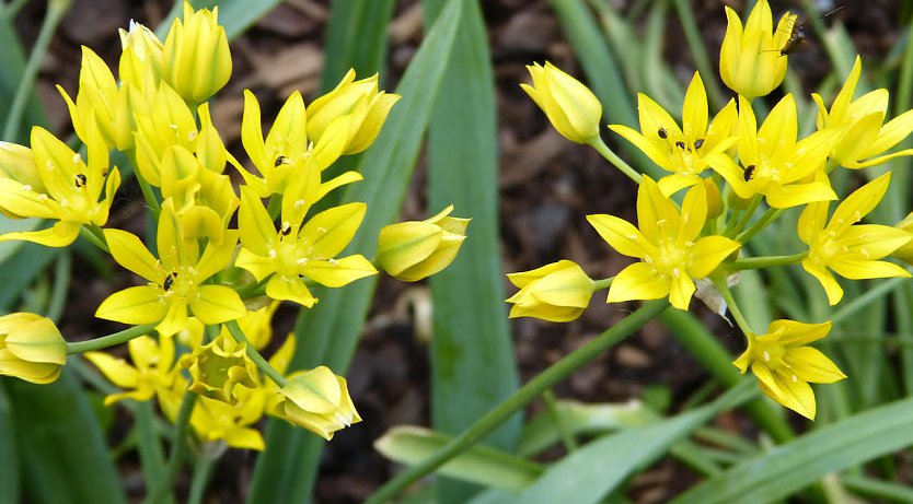 Wanderung am 1. Mai ohne rote Nelken (Foto: privat)