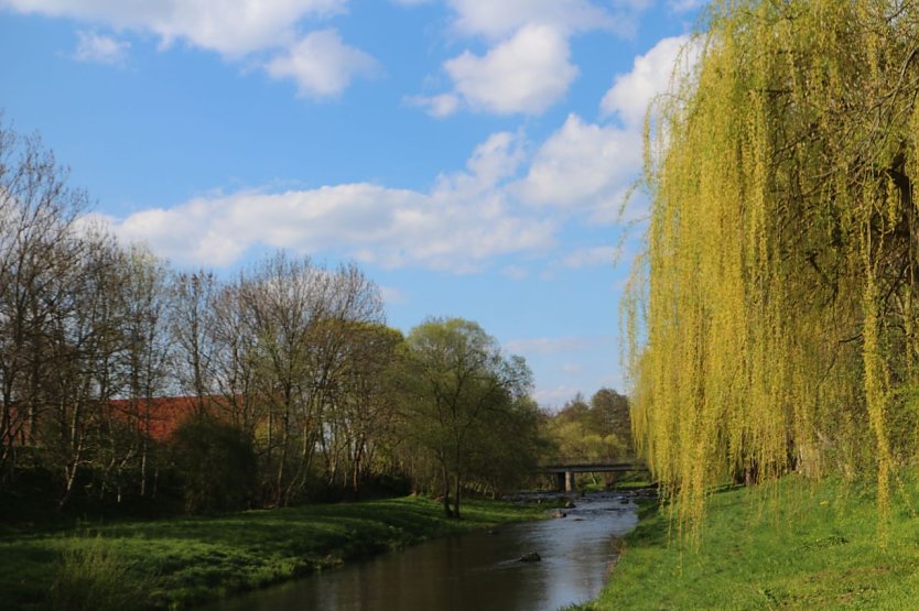 Wetterbild (Foto: agl)