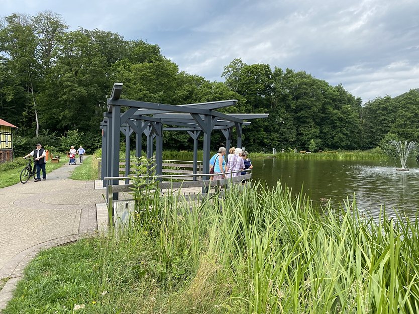 Gondelteich in Neustadt (Foto: Sandra Witzel)